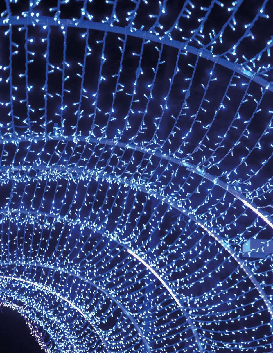 Tira led smart con 500 focos 5
