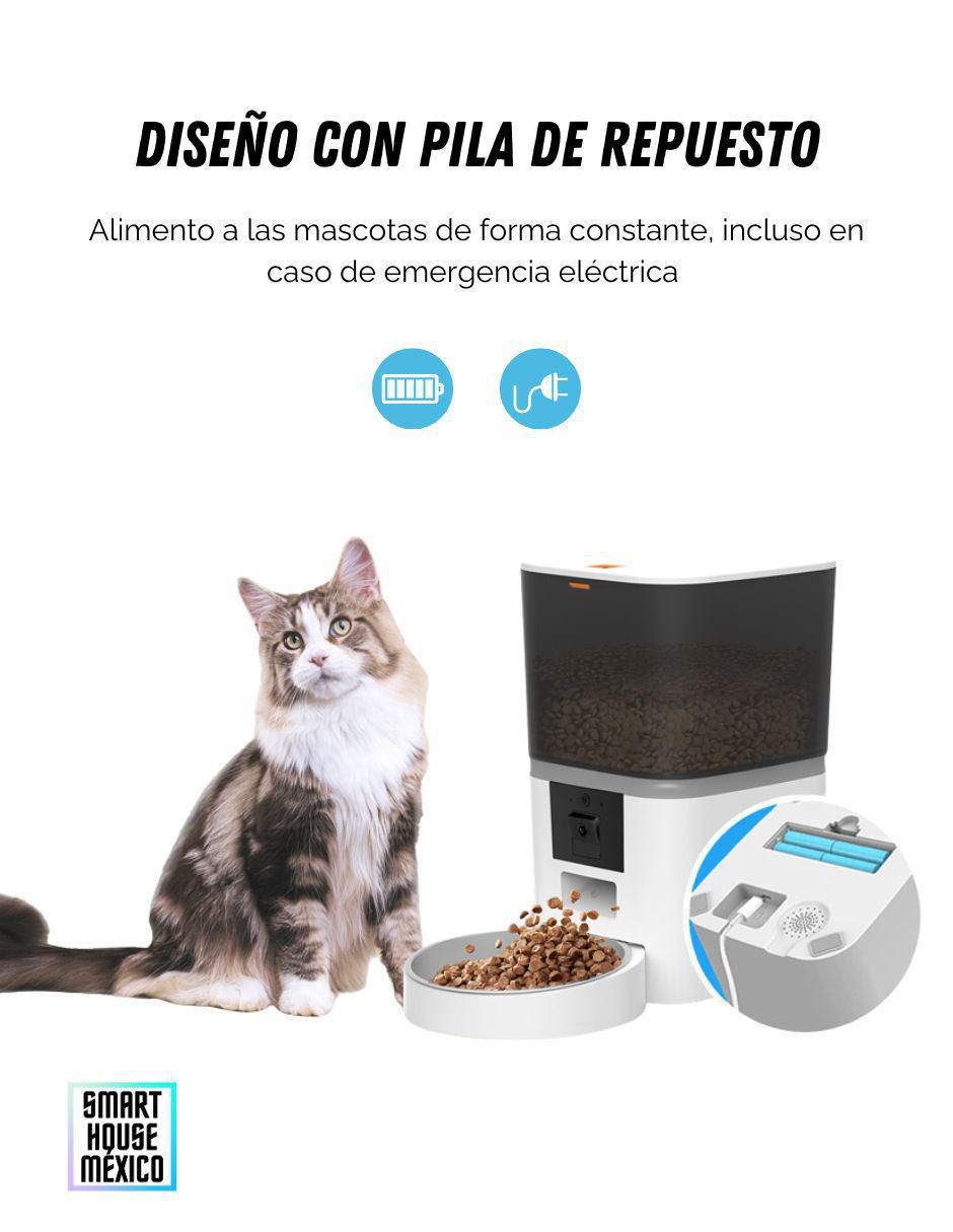 Alimentador automático para mascota