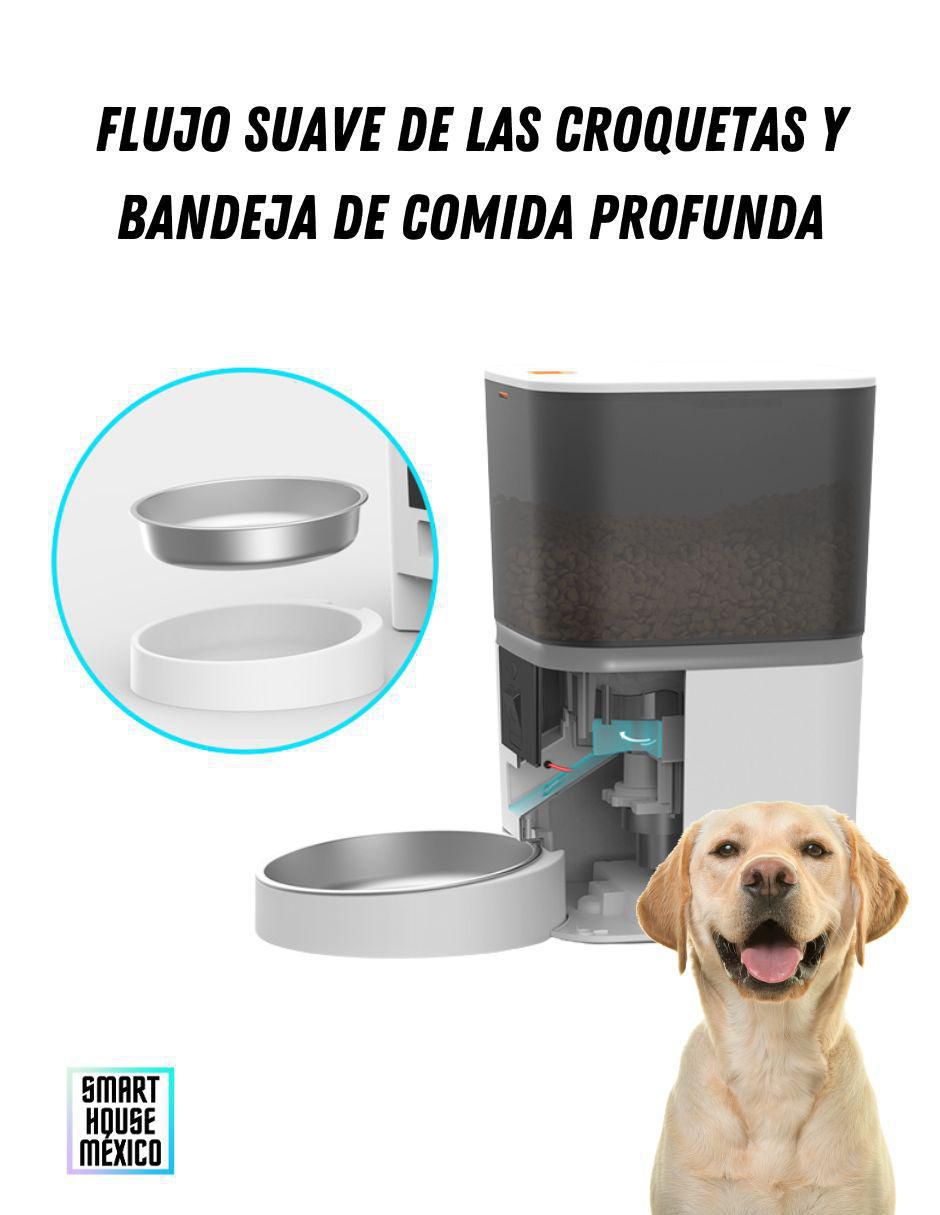 Alimentador automático para mascota