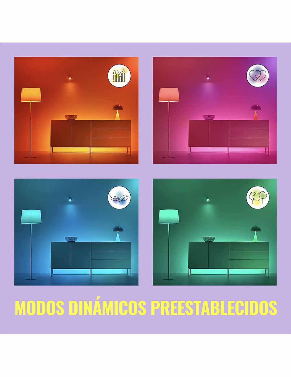 Tira led smart LED Wiz Connected 929002532106