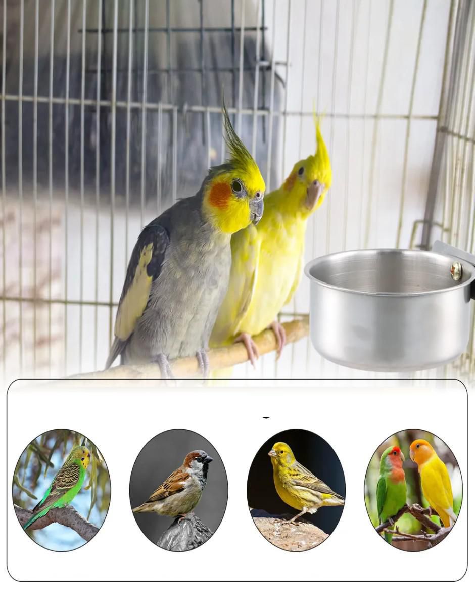 Bebedero para colibrí belug 500 ml